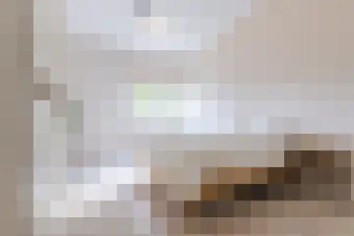 Zomergemstraat 30 Breda thumbnail 36