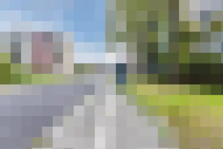 Zomergemstraat 30 Breda thumbnail 53