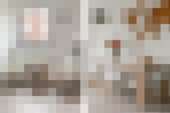 Zomerkade 13 Haarlem thumbnail 13