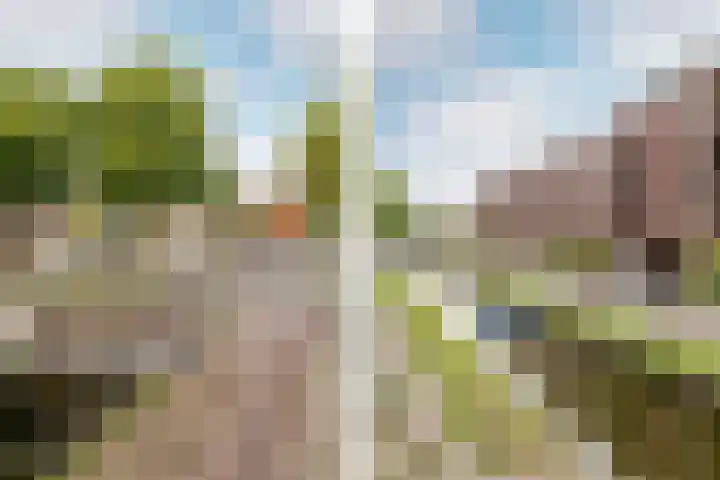 Zomerkade 13 Haarlem thumbnail 15