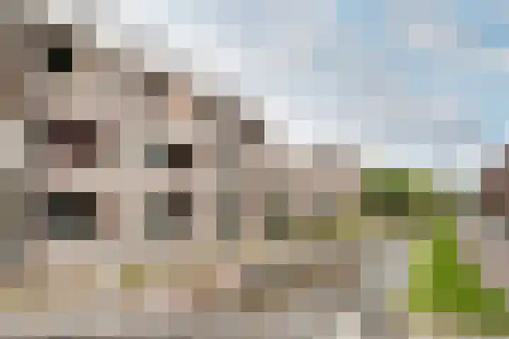 Zomerkade 13 Haarlem thumbnail 27
