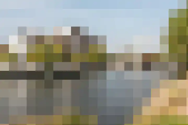 Zomerkade 13 Haarlem thumbnail 28