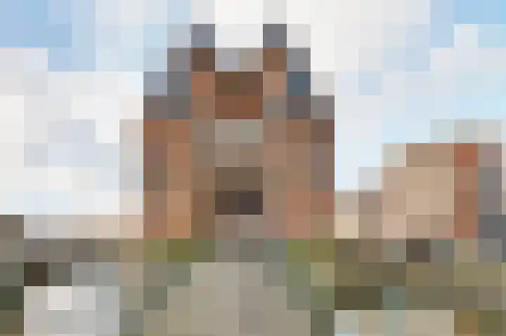 Zomerkade 13 Haarlem thumbnail 31