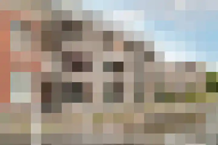 Zomerkade 13 Haarlem thumbnail 34