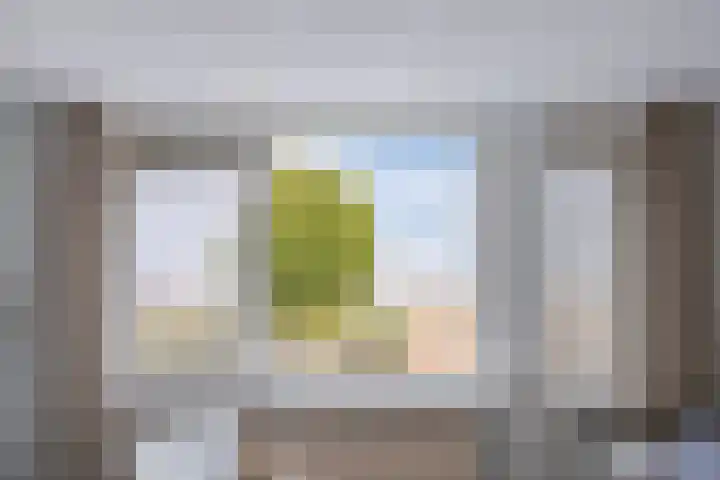 Zomerkade 160 Huizen thumbnail 10