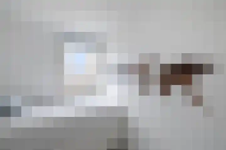 Zomerkade 160 Huizen thumbnail 20