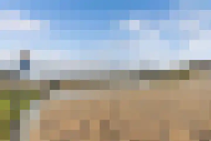 Zomerkade 160 Huizen thumbnail 25
