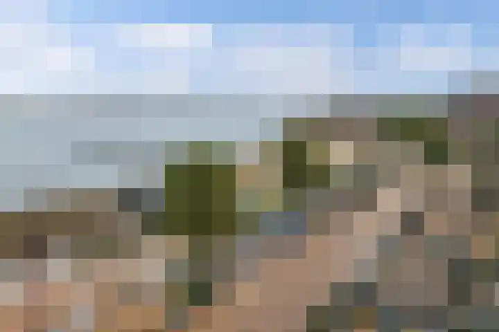 Zomerkade 160 Huizen thumbnail 28