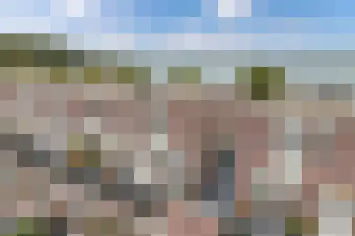 Zomerkade 160 Huizen thumbnail 5