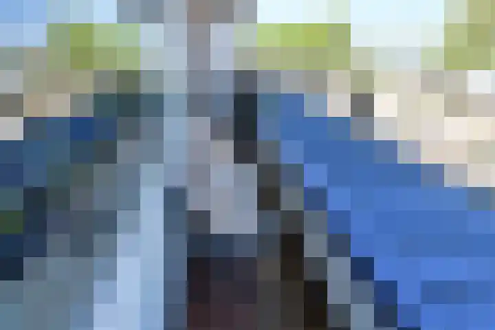 Zomerkade 192 Huizen thumbnail 11
