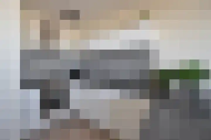 Zomerkade 192 Huizen thumbnail 14