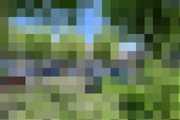 Zomerkade 192 Huizen thumbnail 23