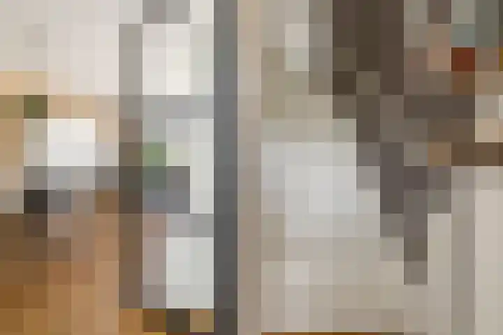 Zomerkade 204 Huizen thumbnail 10