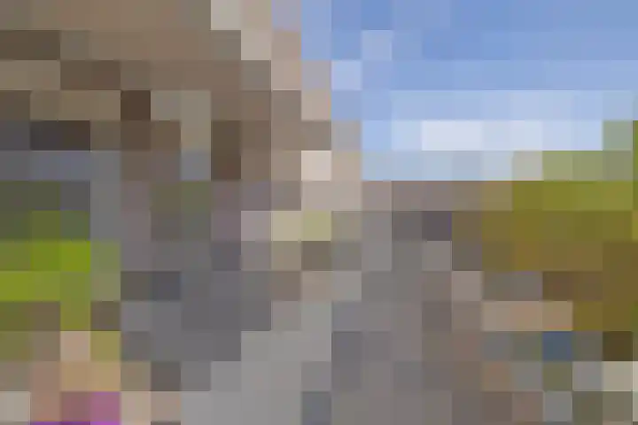 Zomerkade 204 Huizen thumbnail 20