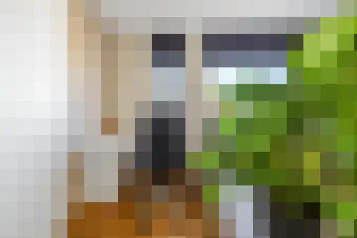 Zomerkade 204 Huizen thumbnail 7