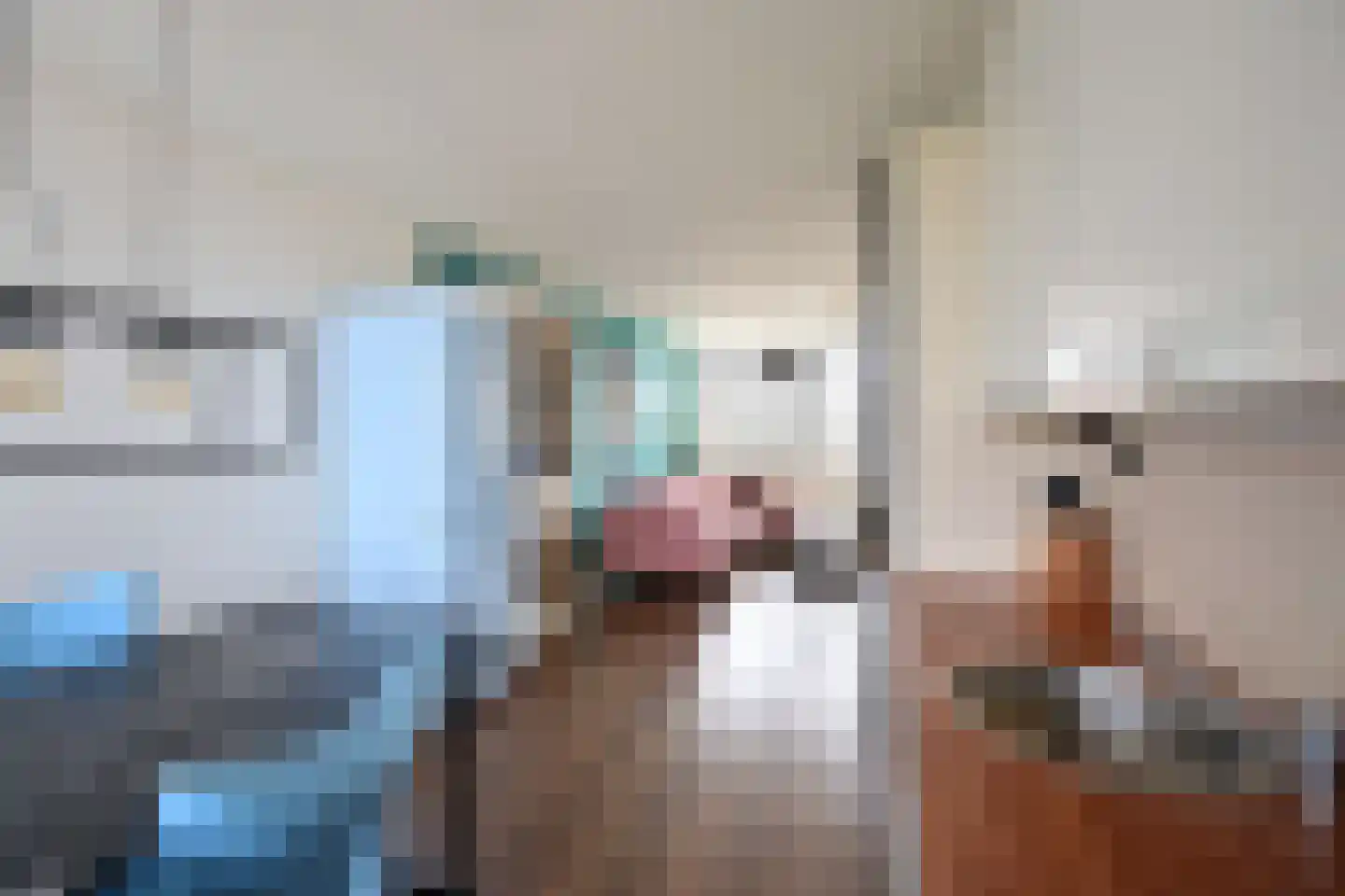 Zomerkade 21 Huizen thumbnail 8