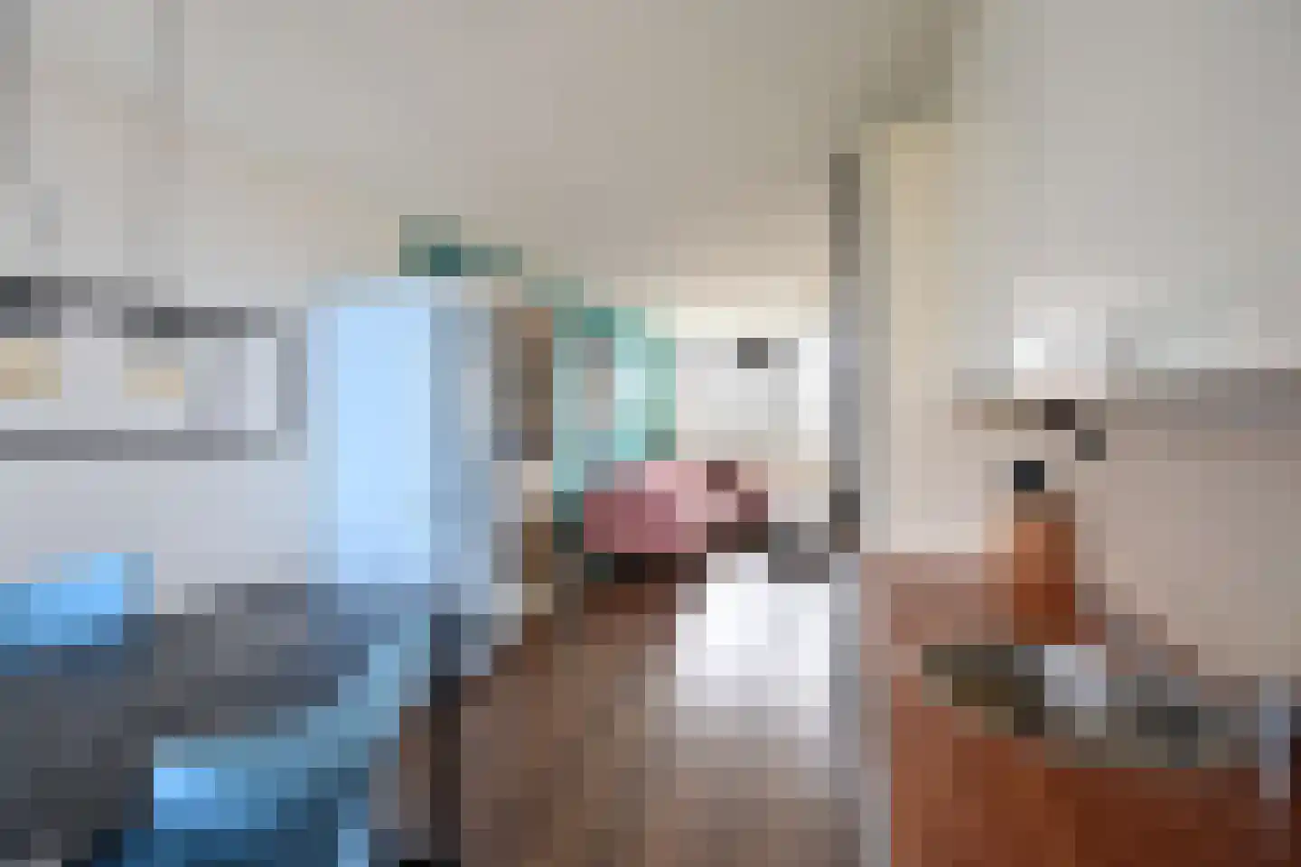 Zomerkade 21 Huizen thumbnail 8