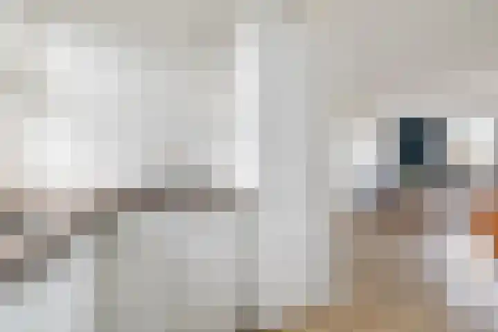 Zomerkade 210 Huizen thumbnail 10