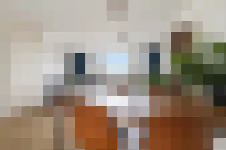 Zomerkade 210 Huizen thumbnail 11