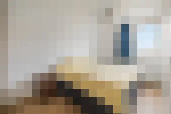 Zomerkade 210 Huizen thumbnail 16