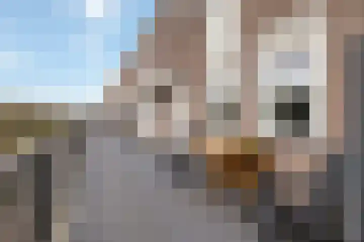 Zomerkade 210 Huizen thumbnail 22