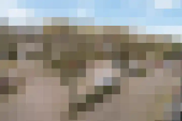 Zomerkade 210 Huizen thumbnail 24