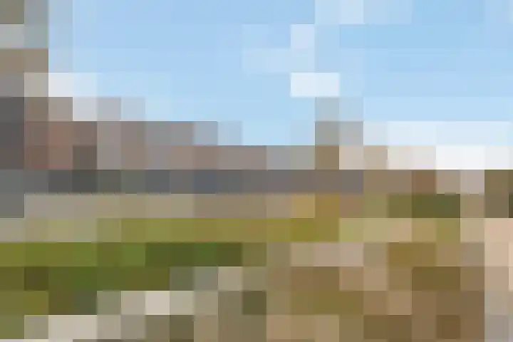 Zomerkade 210 Huizen thumbnail 25