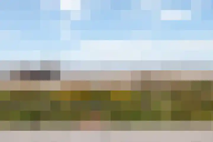 Zomerkade 210 Huizen thumbnail 4