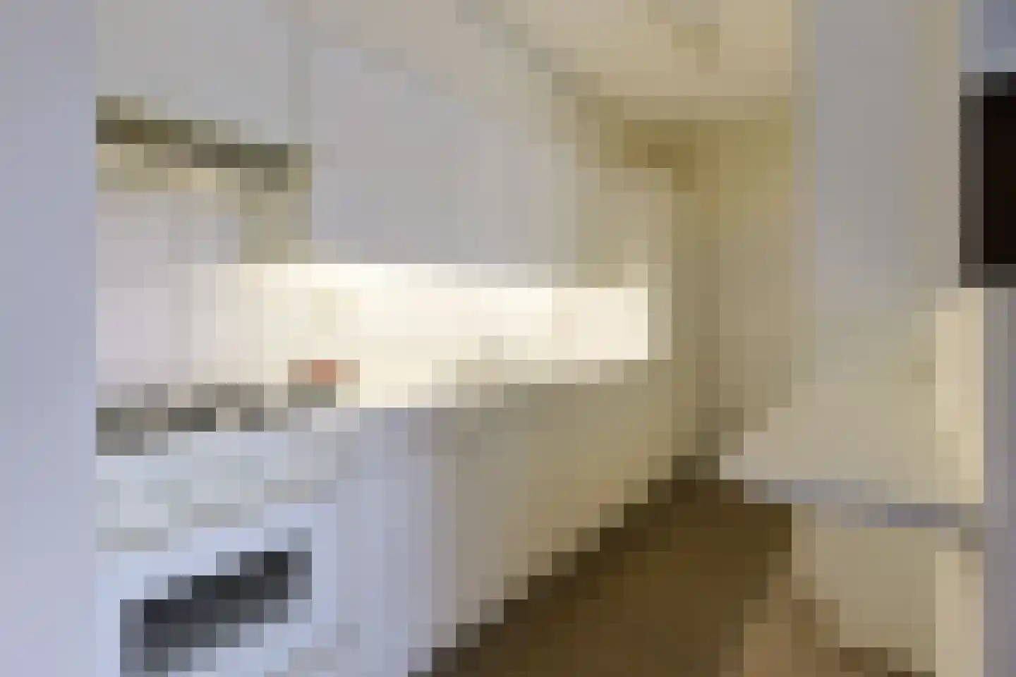 Zomerkade 22 Leiderdorp thumbnail 21