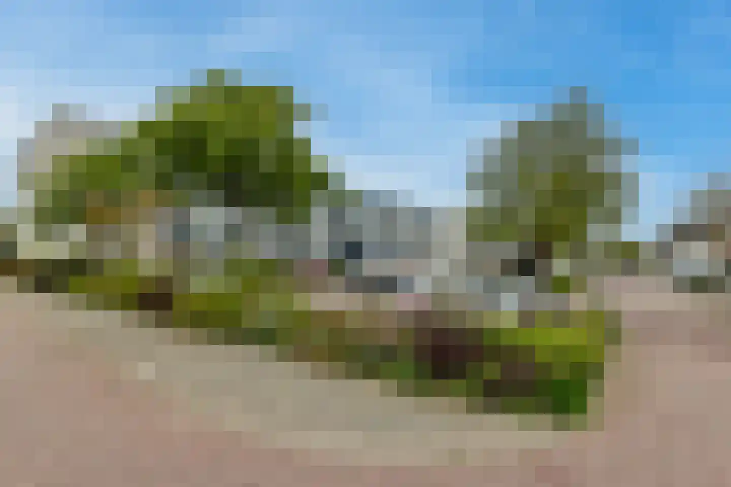Zomerkade 22 Leiderdorp thumbnail 29