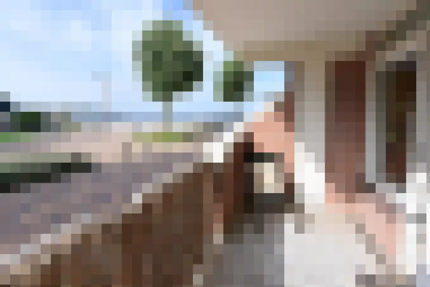 Zomerkade 220 Huizen thumbnail 7