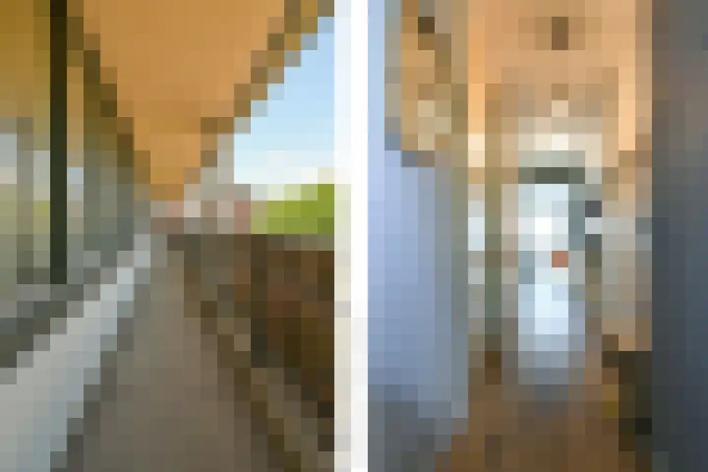 Zomerkade 23 Haarlem thumbnail 6