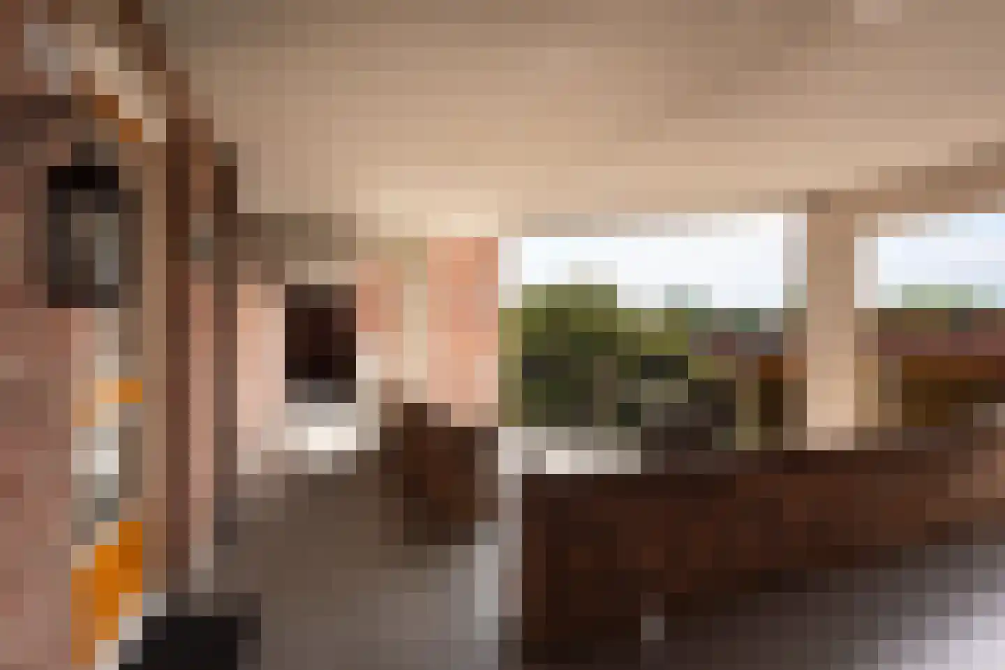 Zomerkade 246 Huizen thumbnail 20