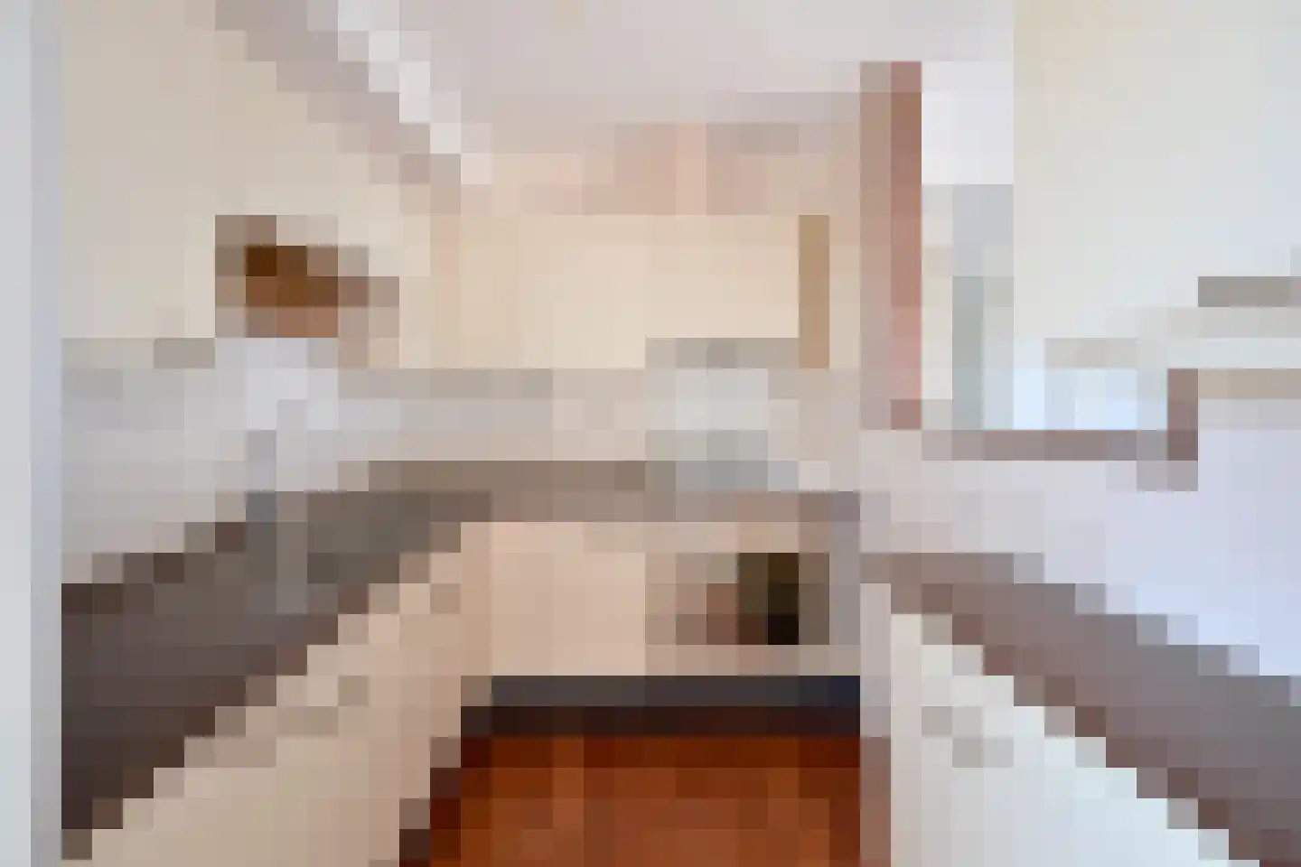 Zomerkade 258 Huizen thumbnail 10