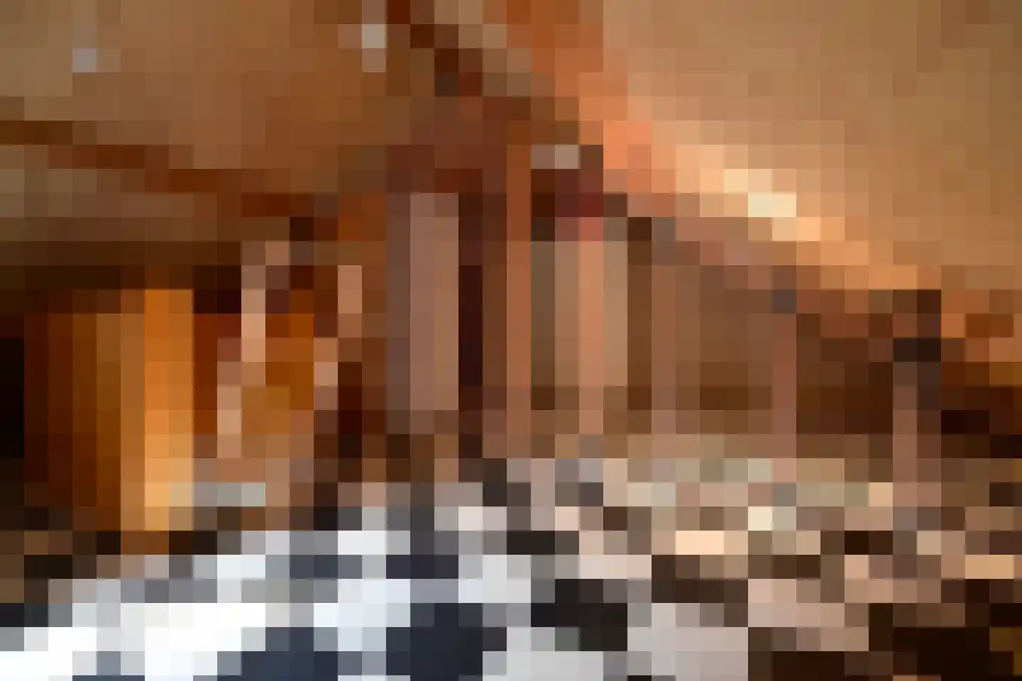 Zomerkade 258 Huizen thumbnail 16