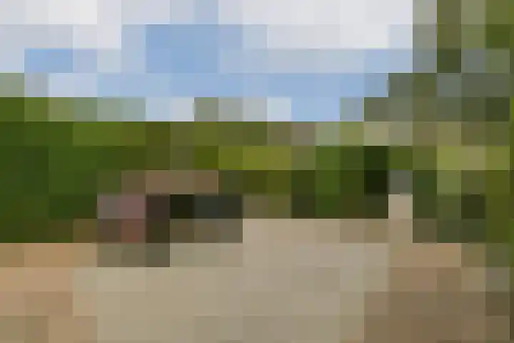 Zomerkade 288 Huizen thumbnail 13