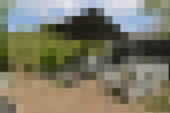 Zomerkade 288 Huizen thumbnail 16