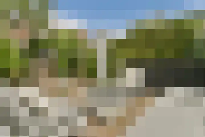 Zomerkade 288 Huizen thumbnail 17