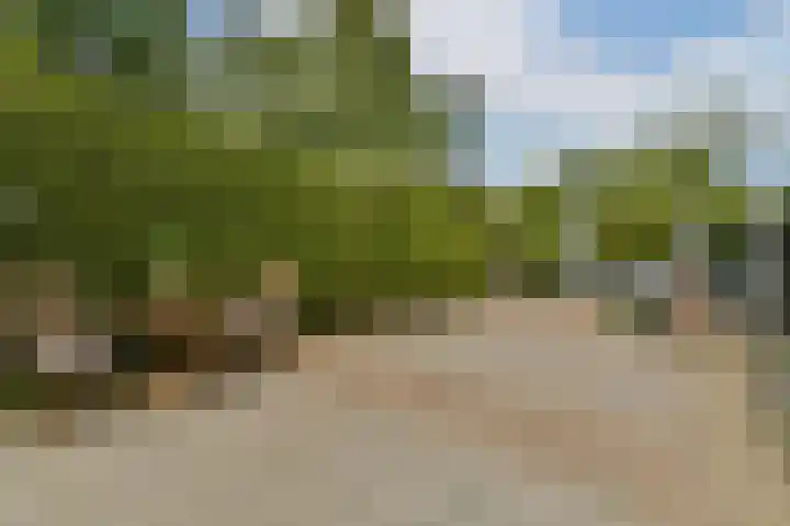Zomerkade 288 Huizen thumbnail 19