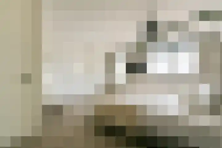 Zomerkade 288 Huizen thumbnail 22