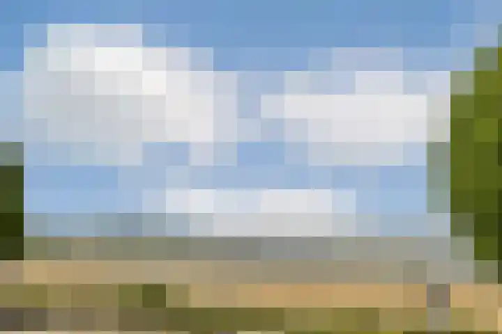 Zomerkade 288 Huizen thumbnail 25