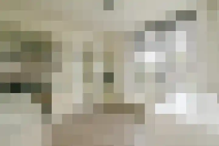 Zomerkade 288 Huizen thumbnail 27