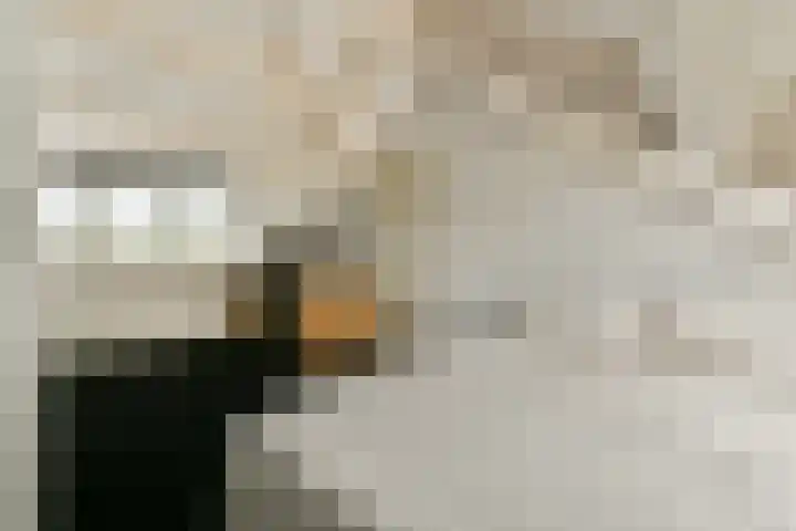 Zomerkade 288 Huizen thumbnail 31