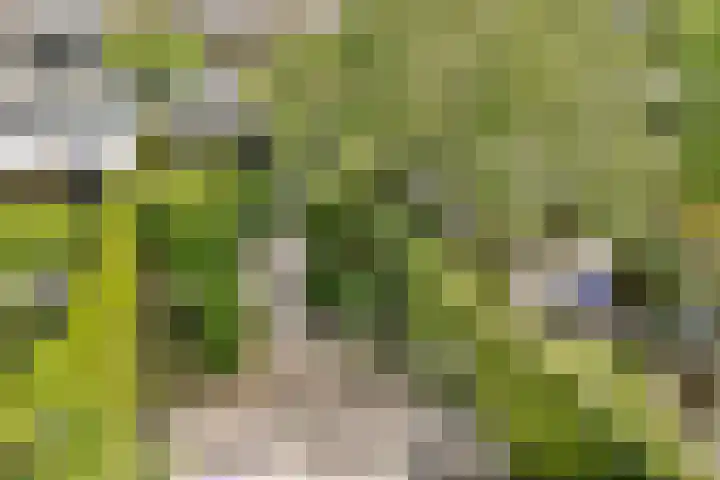 Zomerkade 288 Huizen thumbnail 32
