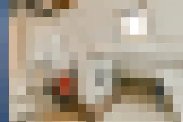 Zomerkade 288 Huizen thumbnail 33