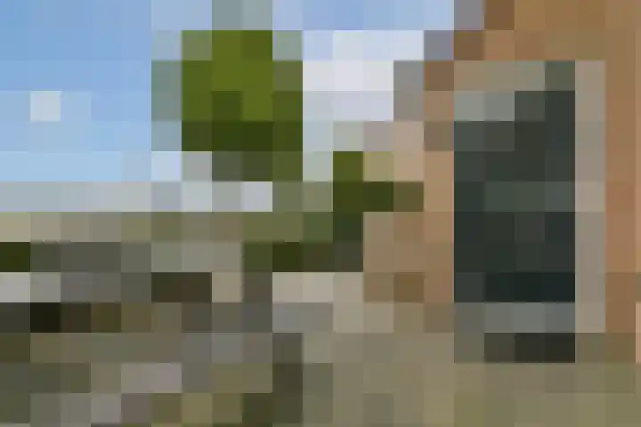Zomerkade 288 Huizen thumbnail 35