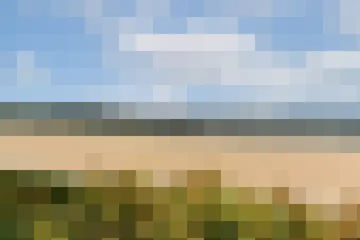 Zomerkade 288 Huizen thumbnail 38