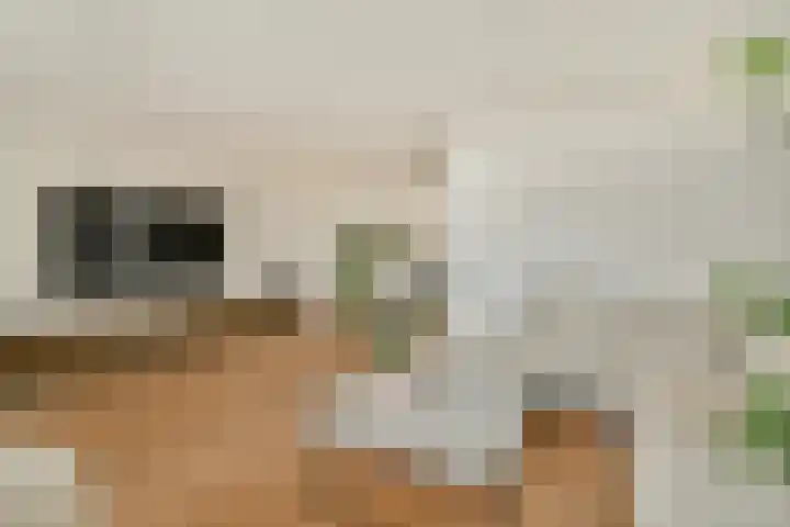 Zomerkade 288 Huizen thumbnail 6