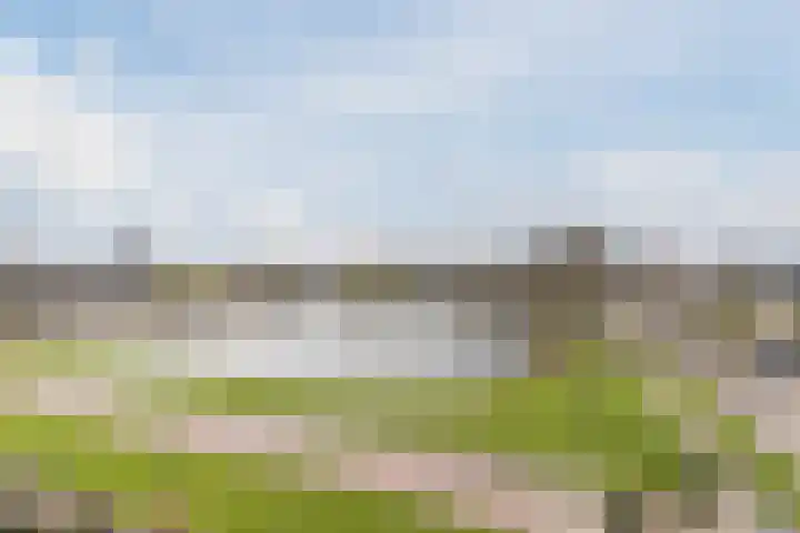 Zomerkade 33 Leiderdorp thumbnail 41
