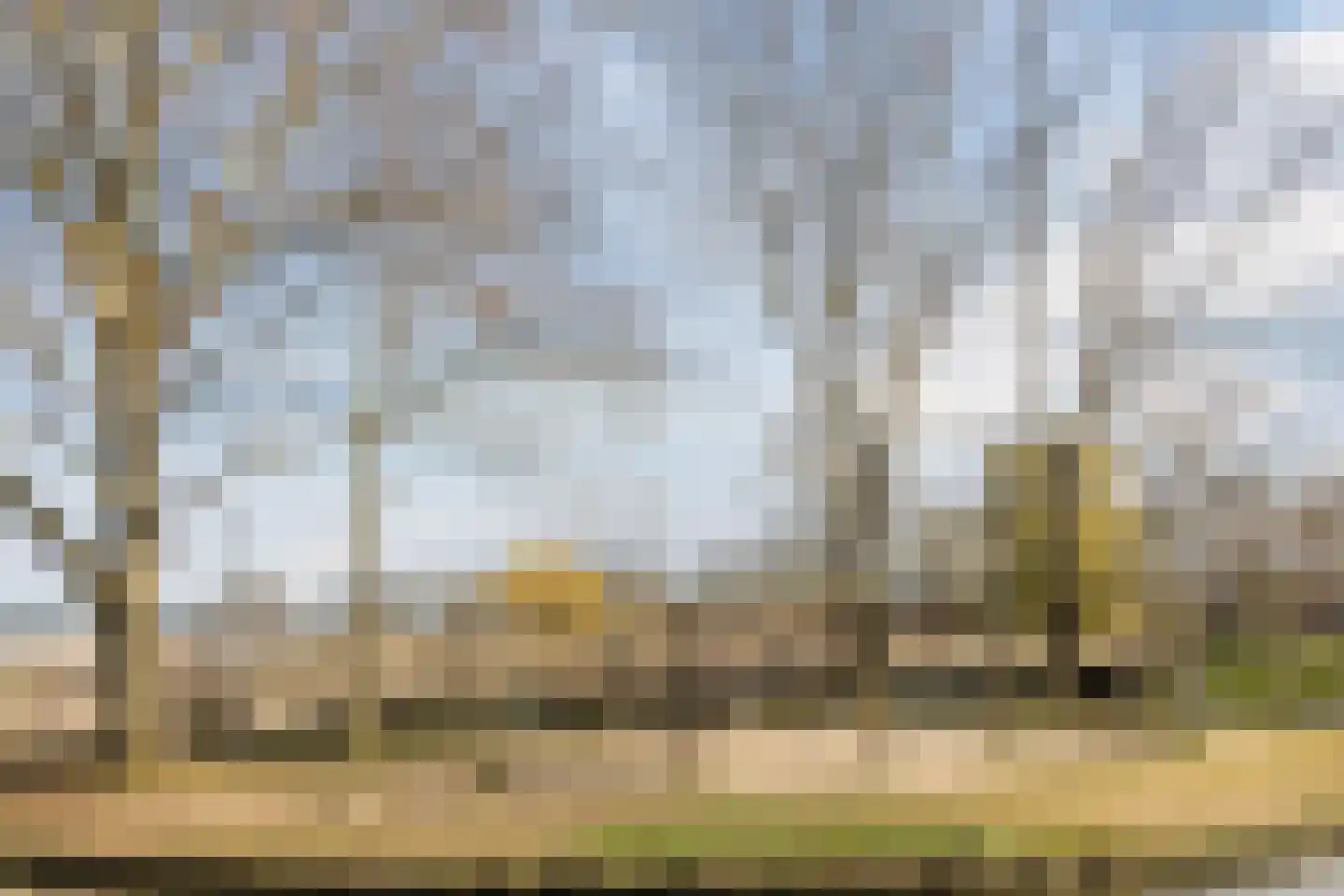 Zomerkade 33 Leiderdorp thumbnail 44